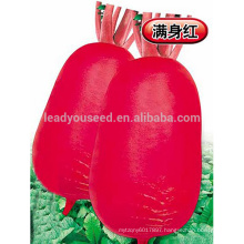 R04 Banye red skin white flesh radish seeds, vegetable seeds